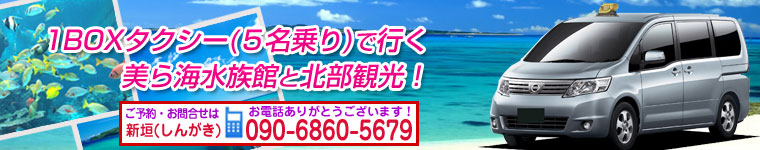 ワンボックスタクシー・沖縄タクシーの貸切料金