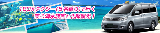ワンボックスタクシー 1BOX